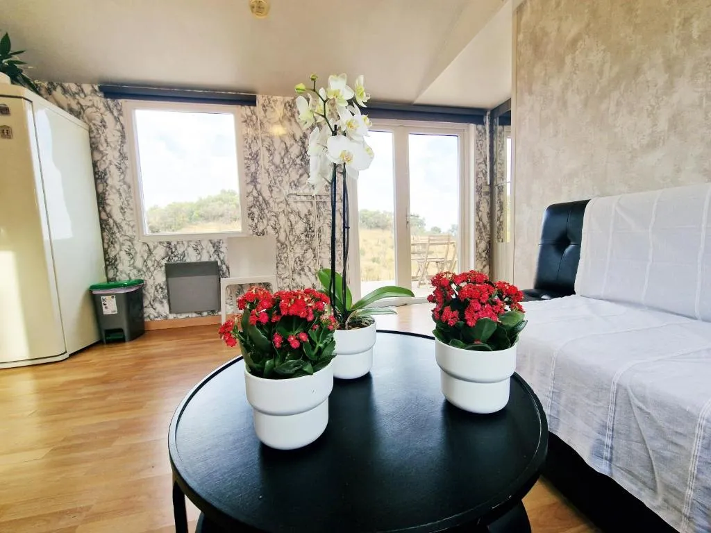Image of AA Guest – La Roza Eco Mobile Home Mijas Costa