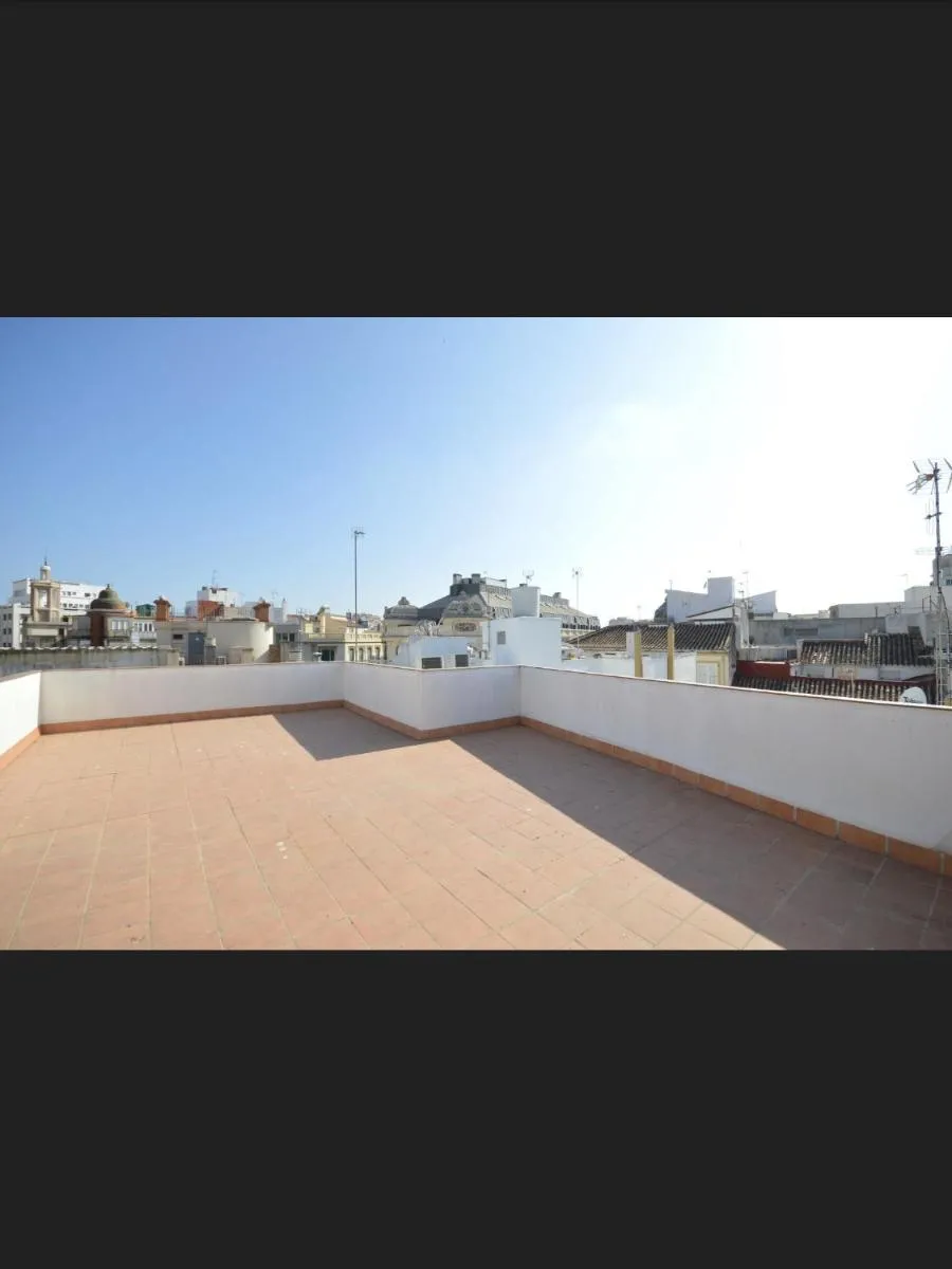 Image 6 of Calle Cinteria