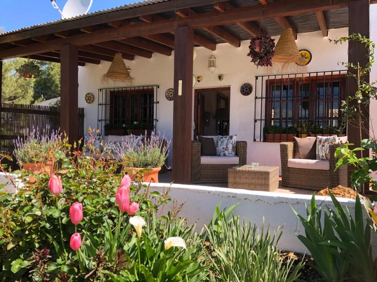 Image 5 of Casa La Alegria 37