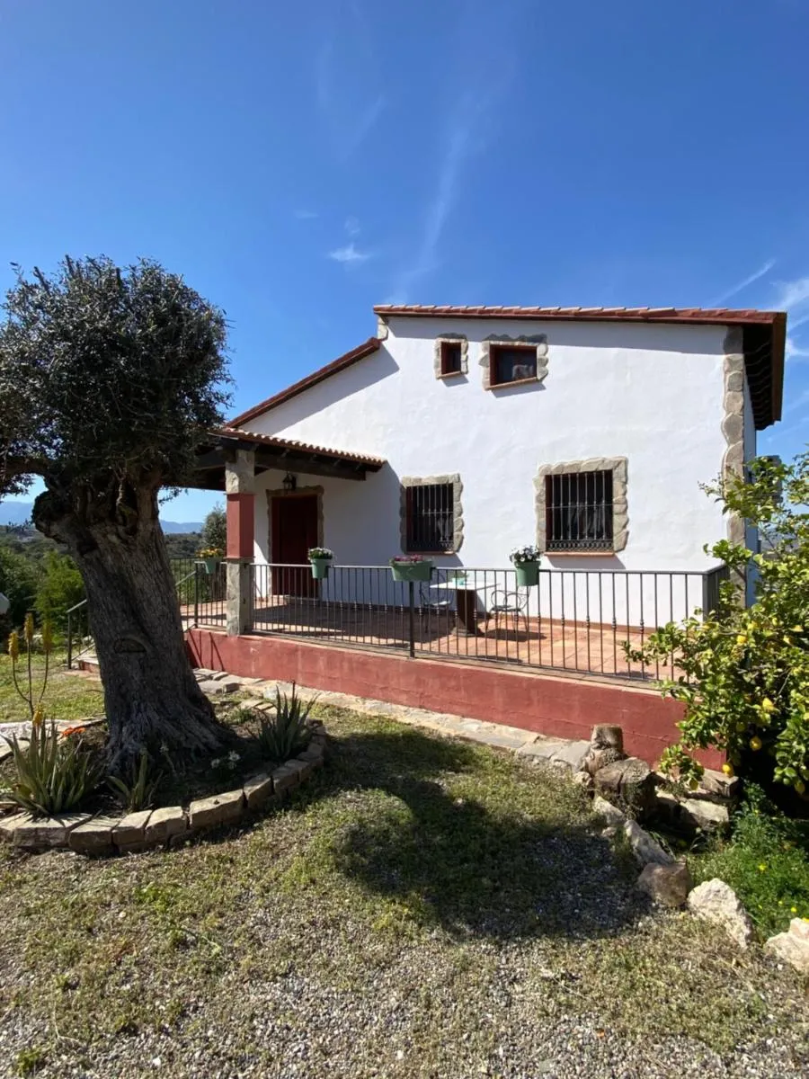 Image 5 of Casa peace