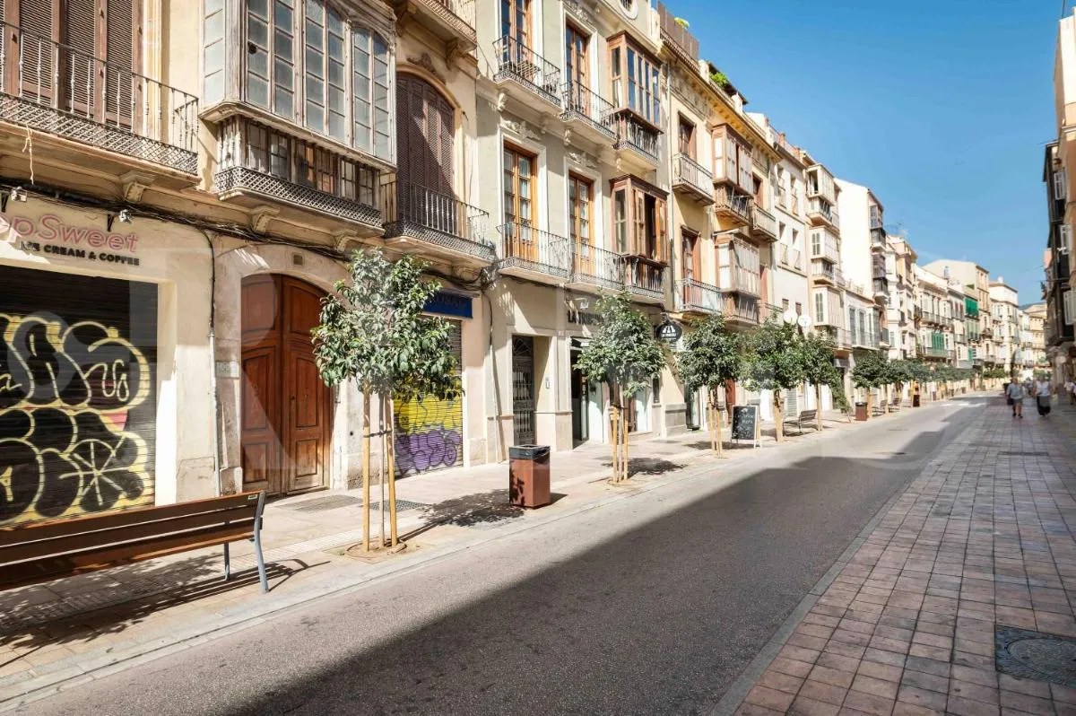 Image 5 of Cozy apartment in the heart of Malaga by REMS