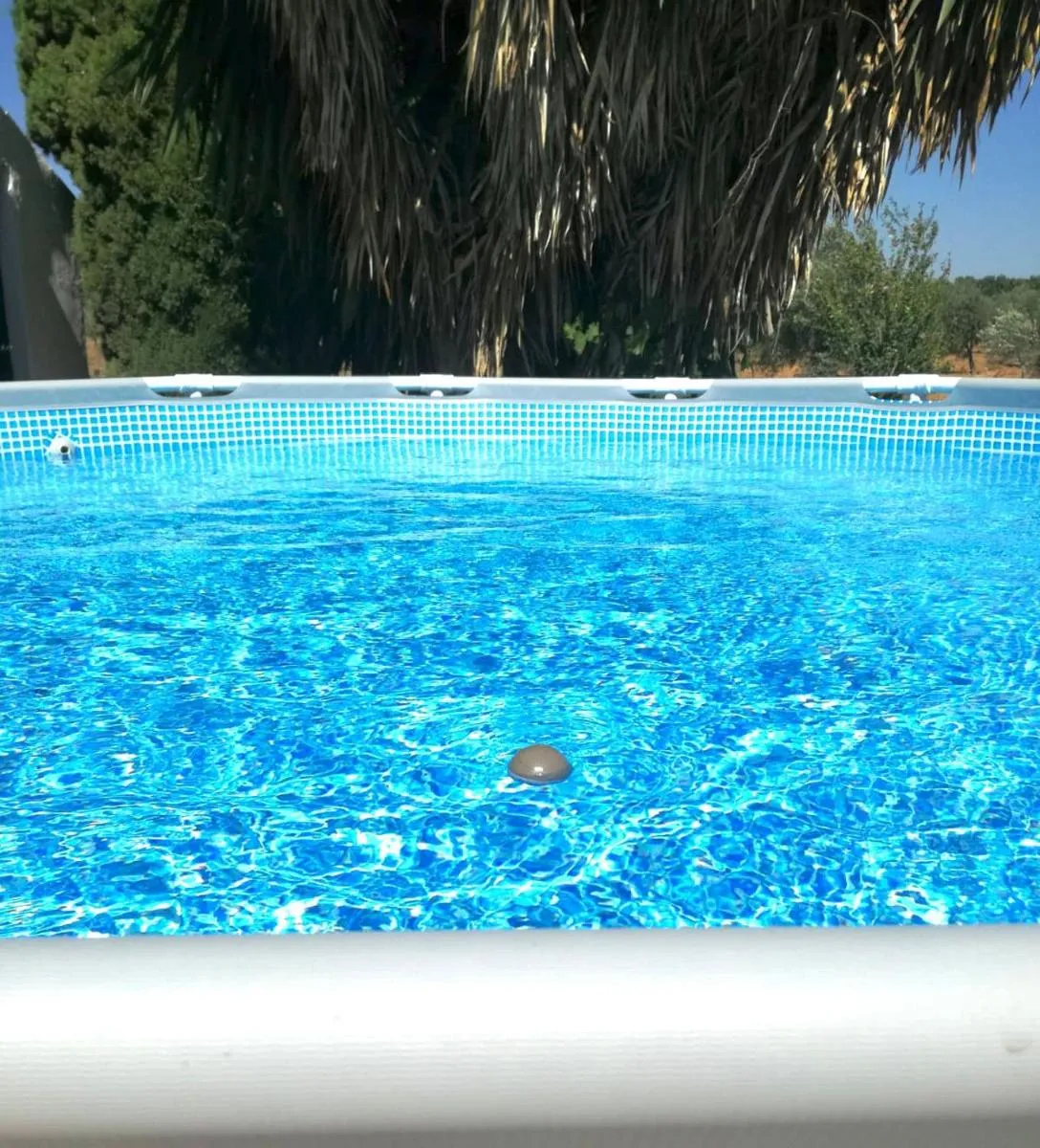 Image 4 of Las maravillas de Manuel By Solymar Holiday
