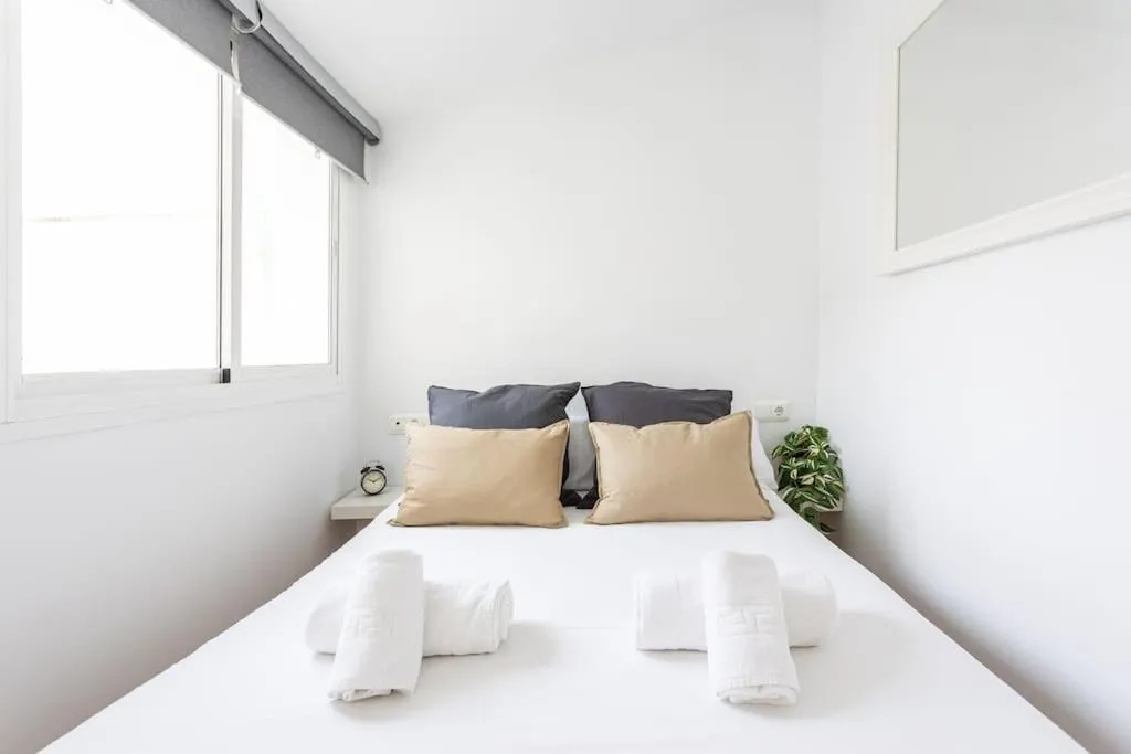 Image 4 of Penthouse in St Montaño, historic centre, WiFi.