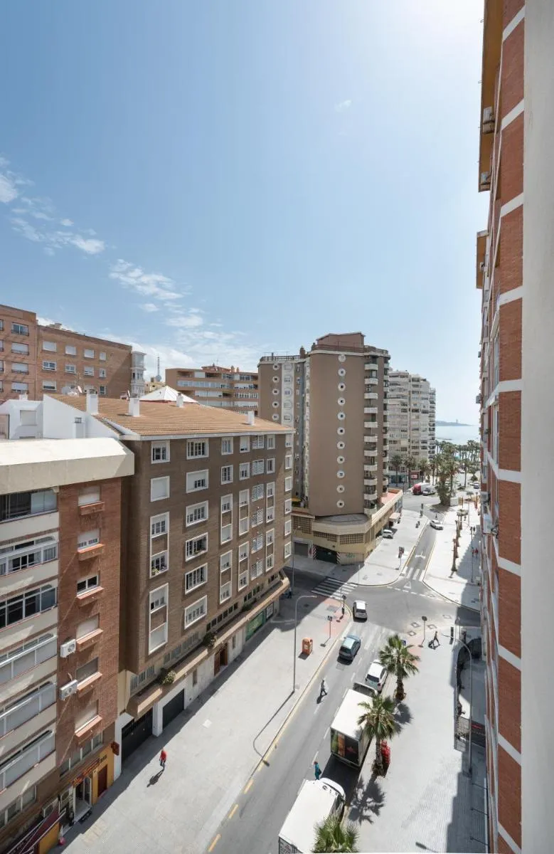 Image 5 of Wonderful Malagueta Pompidou