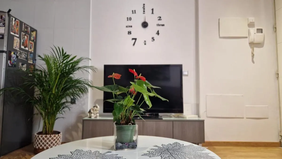 Image 1 of APARTAMENTO BERNIER