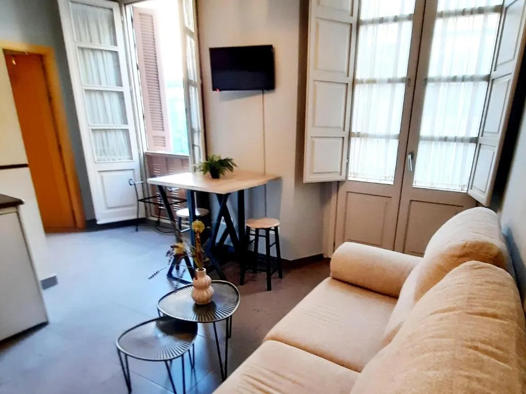 Image of Apartamentos MalagaSol