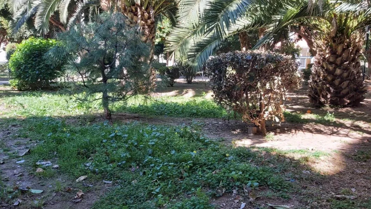 Image 2 of Del Parque Flats Urban Life