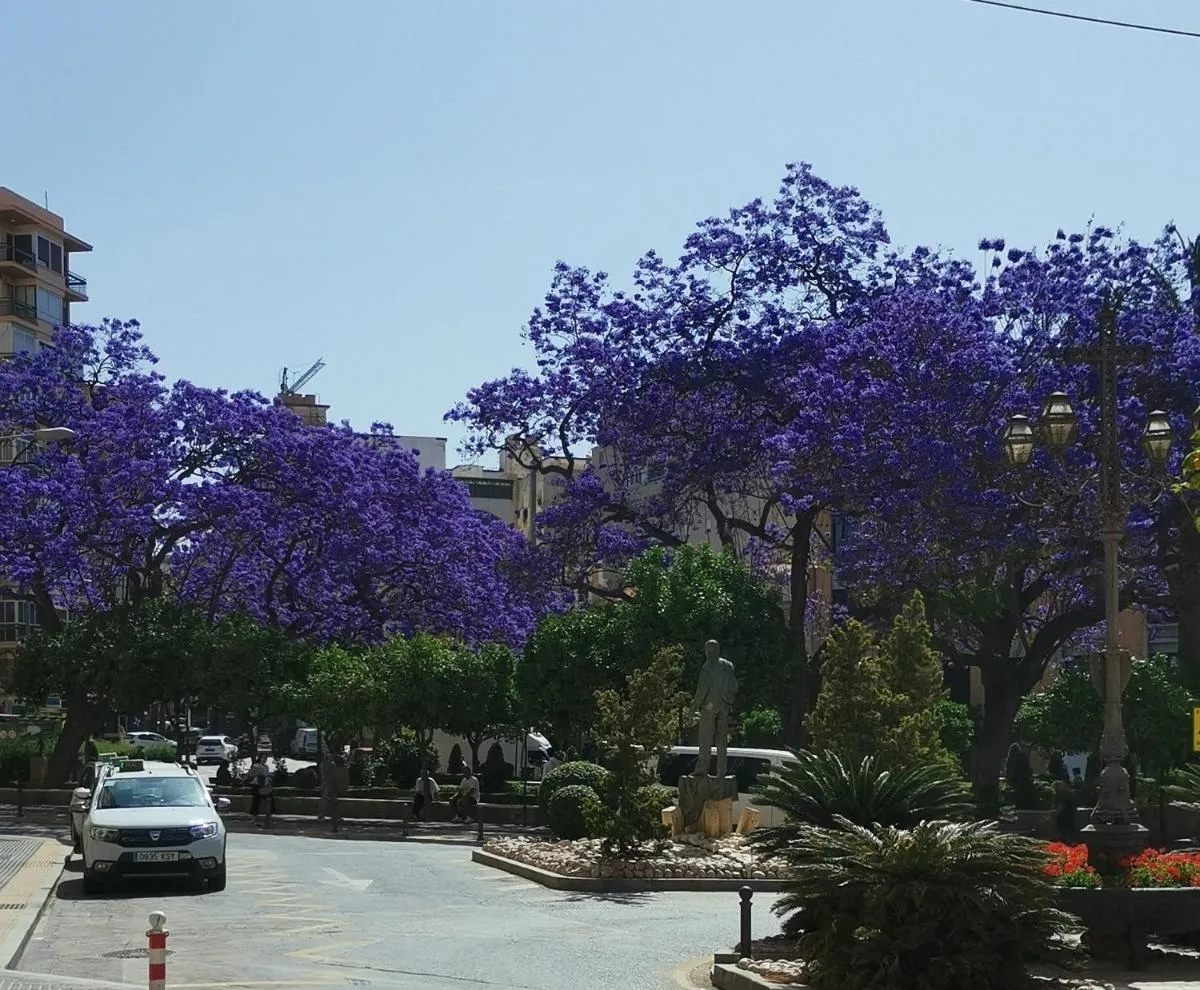 Image 1 of Encantador bajo en Málaga
