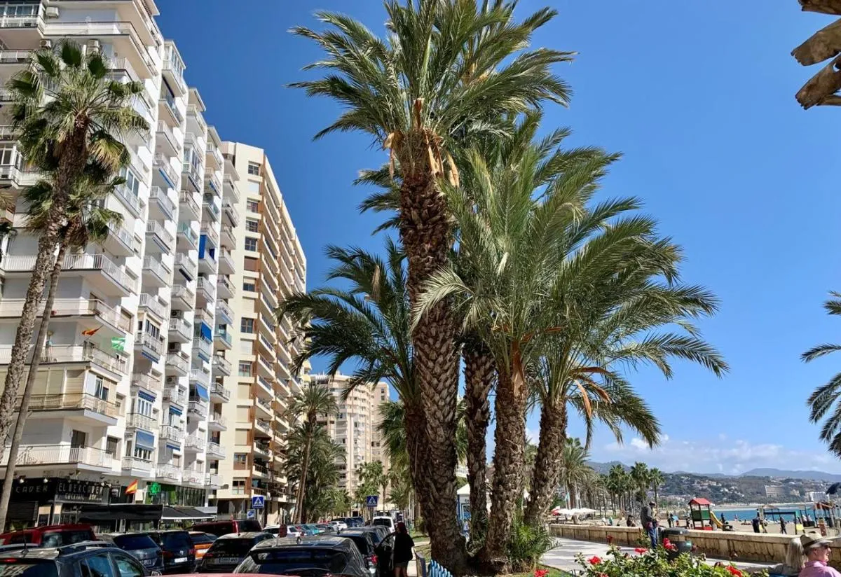 Image 1 of Estudio en playa La Malagueta