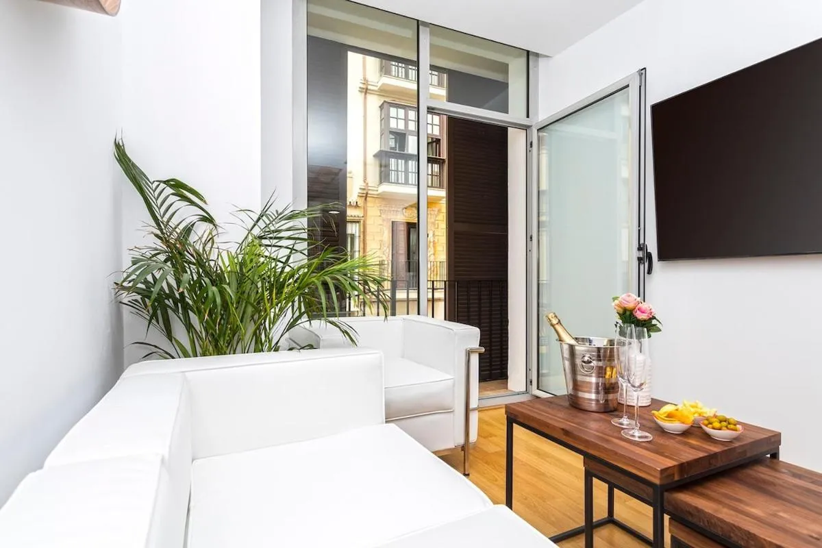 Image 6 of -MalagaSunApts- Fashion Historical city centre