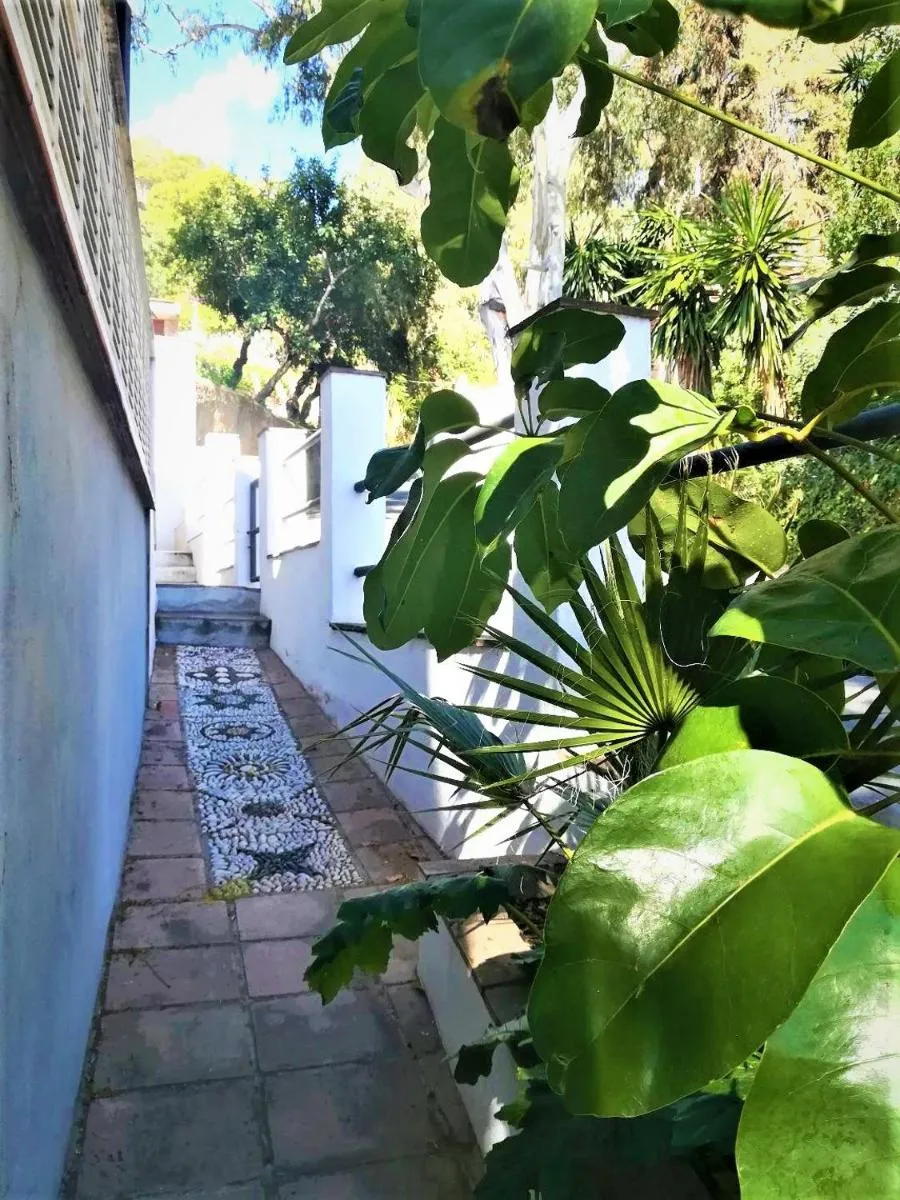 Image 6 of Quiet House in Malaga
