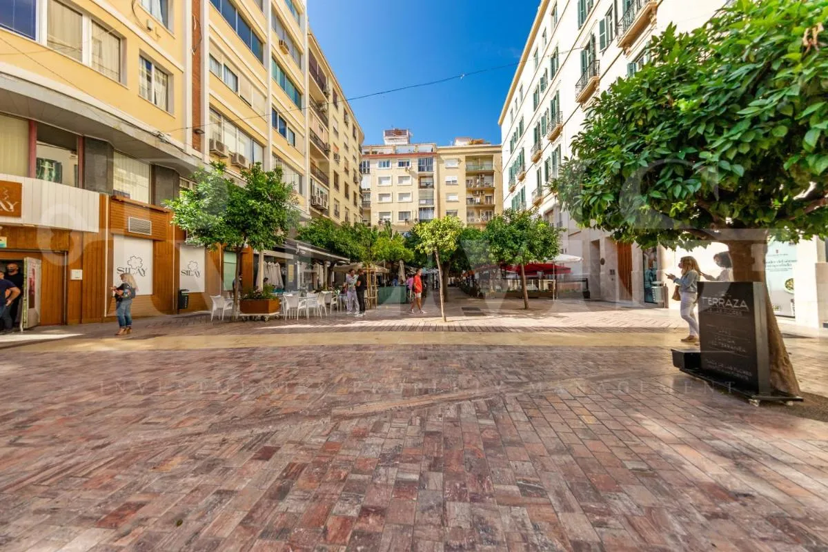 Image 5 of Stylish Apartment in the Historic Center 30 meters from calle Larios by REMS