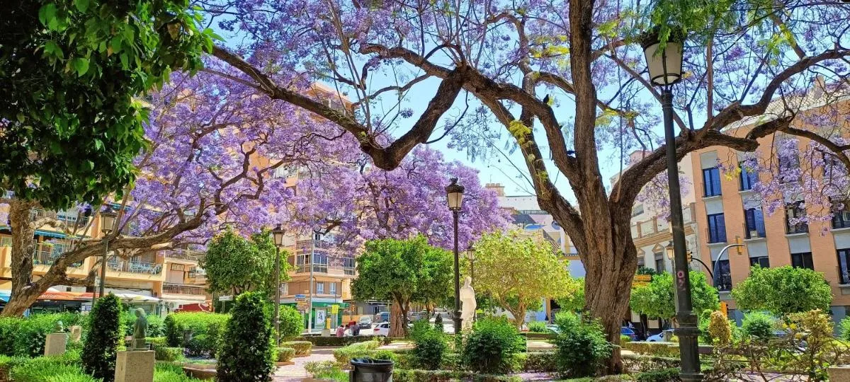 Image 2 of The Secret Oasis Malaga