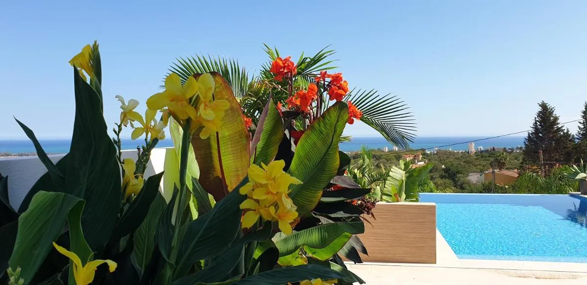 Image 4 of Villa with Panoramic Sea View Heated Infinity Saltwater Pool – Happyplace Malaga