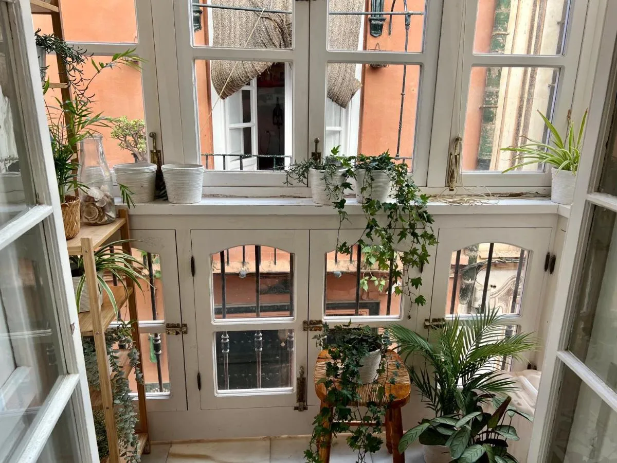 Image 6 of iYOURBASICS Great Apartment Hinestrosa 23 FREE WIFI&AC